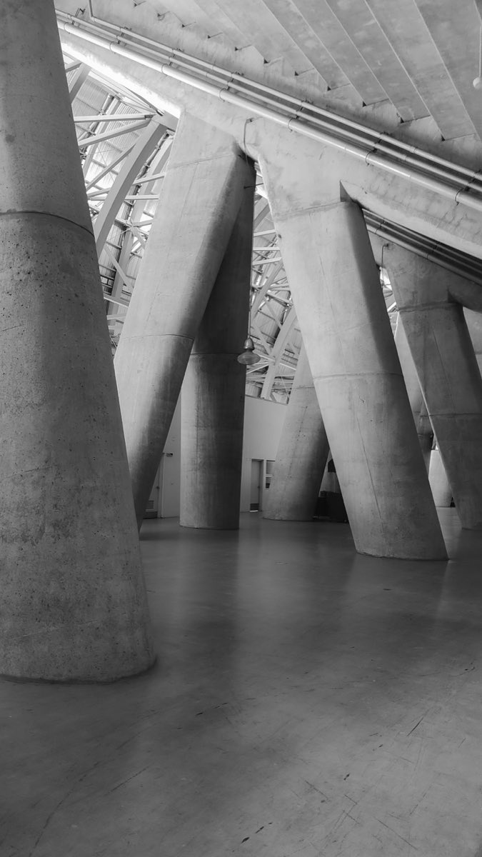 Angled concrete columns carrying a large structural roof, shot from below